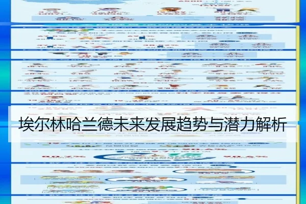 埃尔林哈兰德未来发展趋势与潜力解析